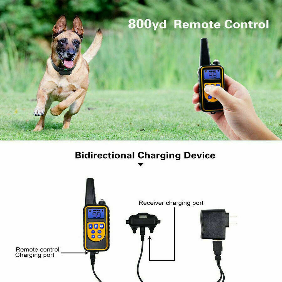 2600 FT Remote Dog Shock Training 2 Collar Set Rechargeable Waterproof