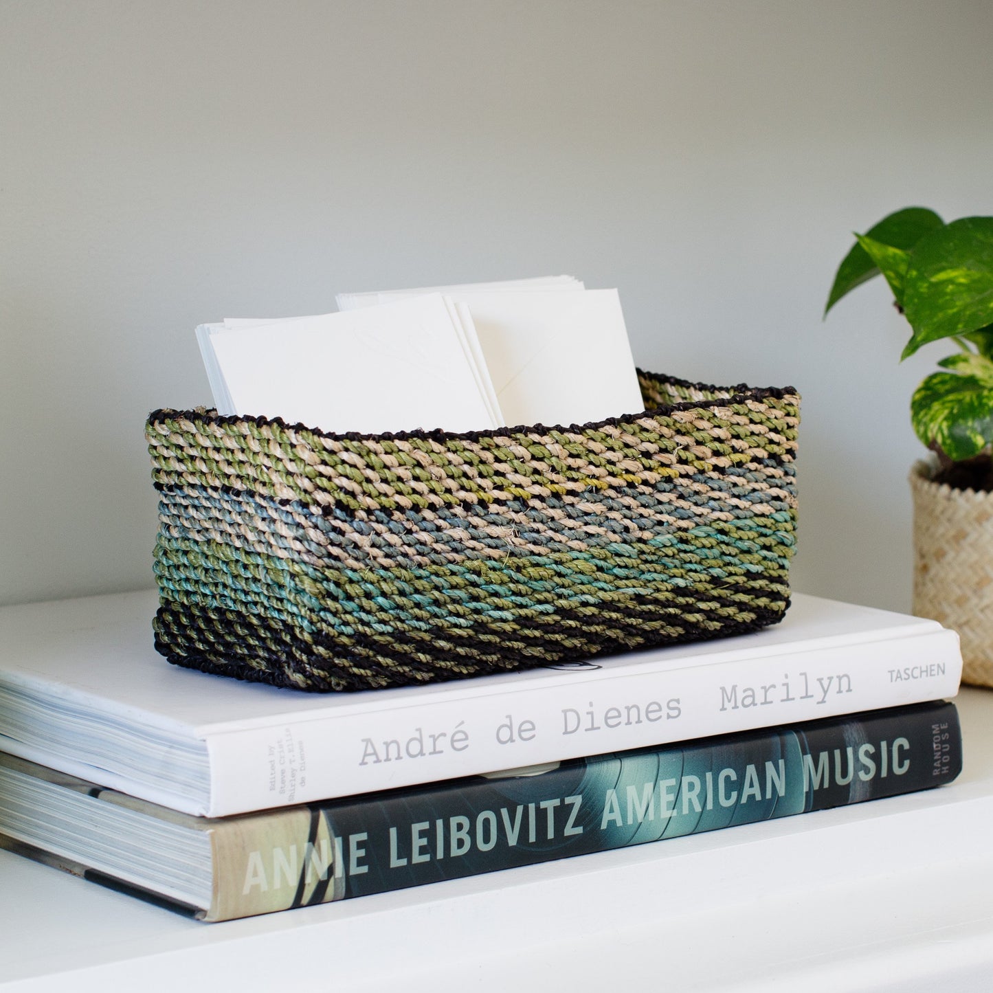 All Purpose Storage Tray | Light Green